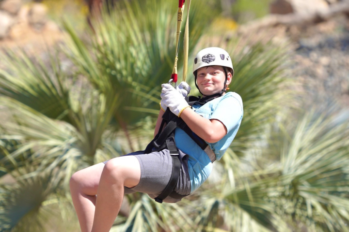 a person in a garden