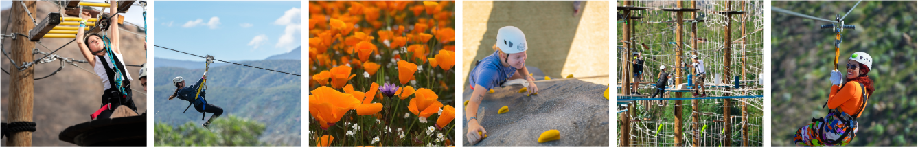 Copy of Instagram feed template – desktop (single row) (1)